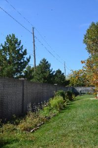 Urban Farming IS Conservation Image